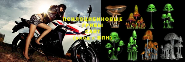 стафф Волосово