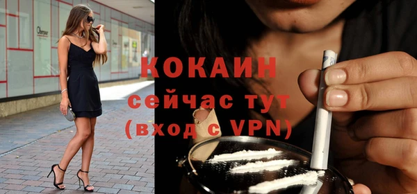 молекула духа Волоколамск