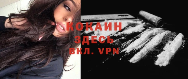 молекула духа Волоколамск