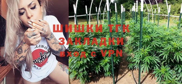 молекула духа Волоколамск