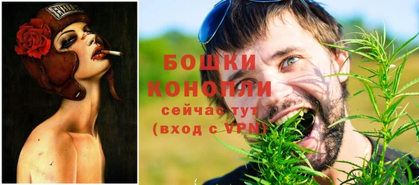 молекула духа Волоколамск