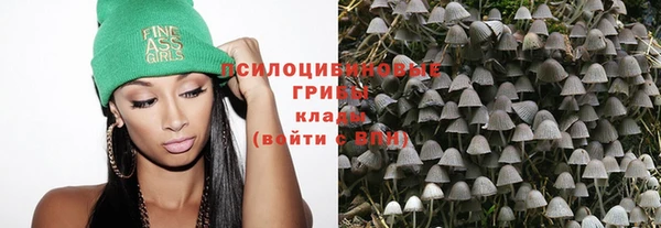 Альфа ПВП Володарск