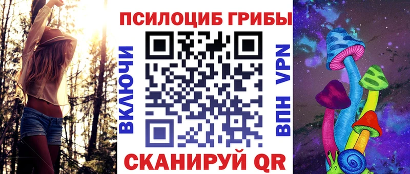 Галлюциногенные грибы Psilocybine cubensis  Тбилисская 