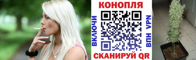 МАРИХУАНА семена Тбилисская